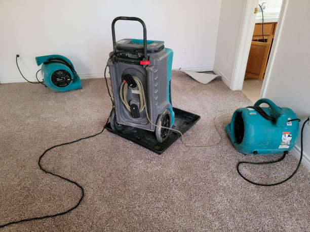  Salisbury, NY Water damage restoration Pros