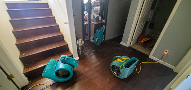 Best Mold removal after water damage  in Salisbury, NY