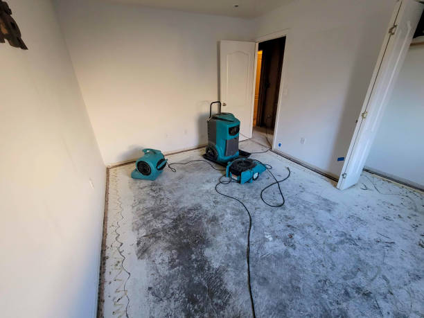 Best Basement water damage restoration  in Salisbury, NY