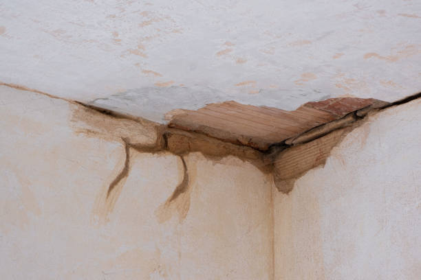 Best Water damage restoration near me  in Salisbury, NY