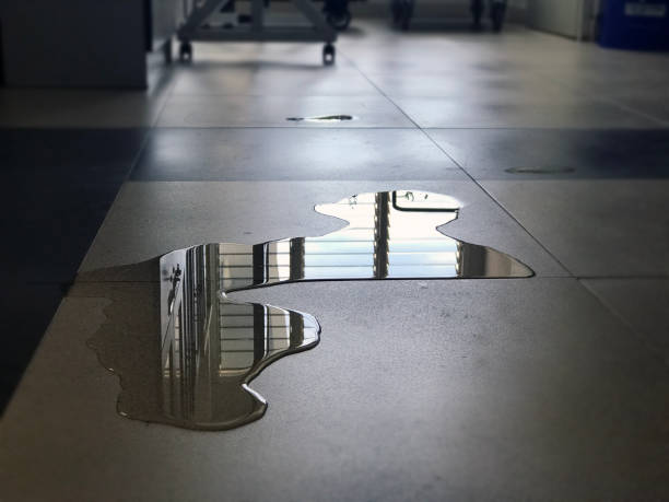 Best Professional water damage repair  in Salisbury, NY