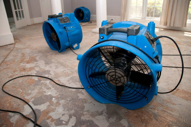 Best Fire Damage Restoration  in Salisbury, NY