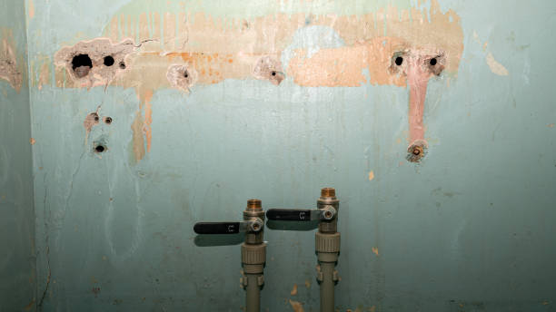 Best Water damage restoration near me  in Salisbury, NY
