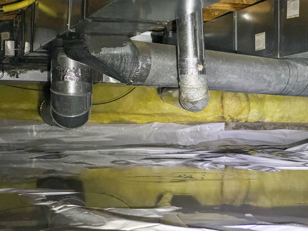 Best Carpet water damage restoration  in Salisbury, NY