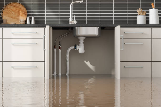 Best Water damage cleanup near me  in Salisbury, NY
