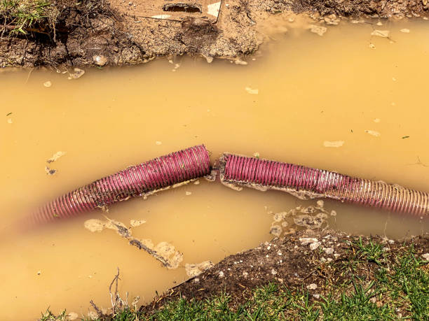 Best Water damage contractors near me  in Salisbury, NY