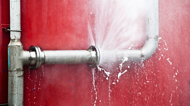 Best Flood damage cleanup  in Salisbury, NY